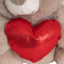 Load image into Gallery viewer, Love Me Bear With Shining Heart
