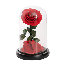 Load image into Gallery viewer, LED Preserved Single Stem Rose Cloche Red (20cmH)