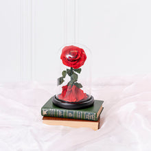 Load image into Gallery viewer, LED Preserved Single Stem Rose Cloche Red (20cmH)